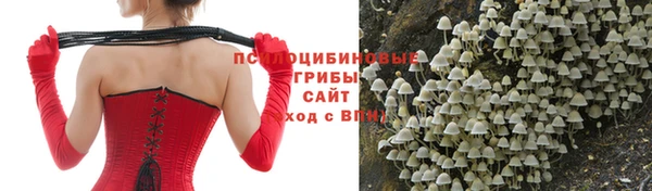 ешки Алексеевка