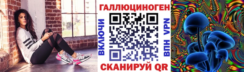 Галлюциногенные грибы Cubensis продажа наркотиков Злынка